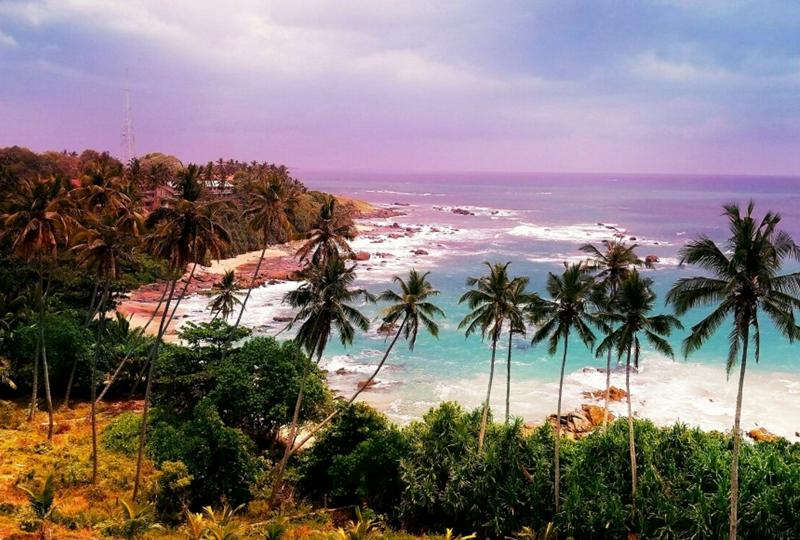 🥳Шри-Ланка снова ждет туристов!✈️Прямые рейсы со 2 ноября из Москвы🌴