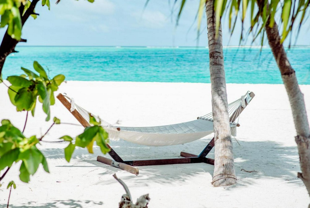 💑Проведите свой Медовый месяц на Мальдивах!