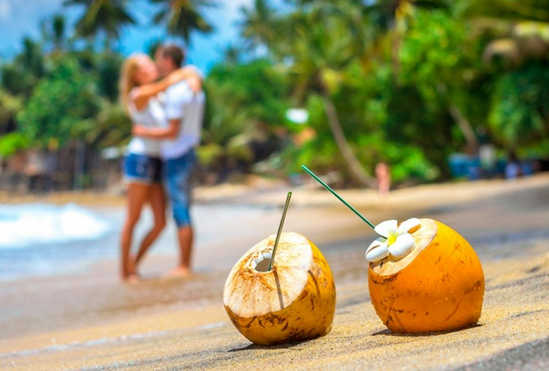🇱🇰Шри-Ланка. Экскурсия 3 дня + отдых на Побережье🌴