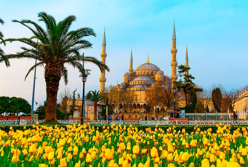 🌷Фестиваль тюльпанов в Стамбуле, вылет 2 апреля🌷