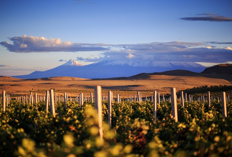 Армения - колыбель виноделия